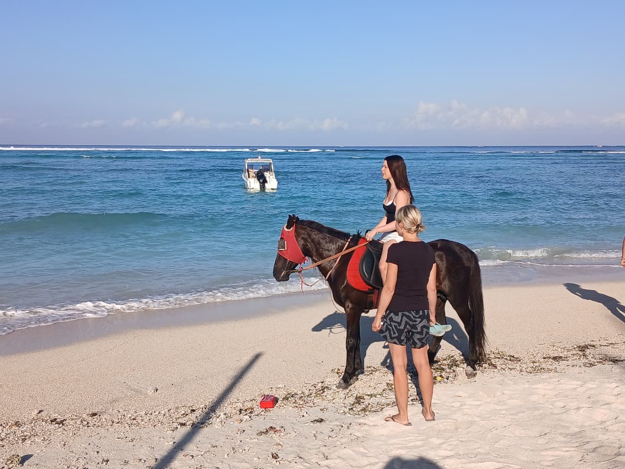 HORSE RIDING