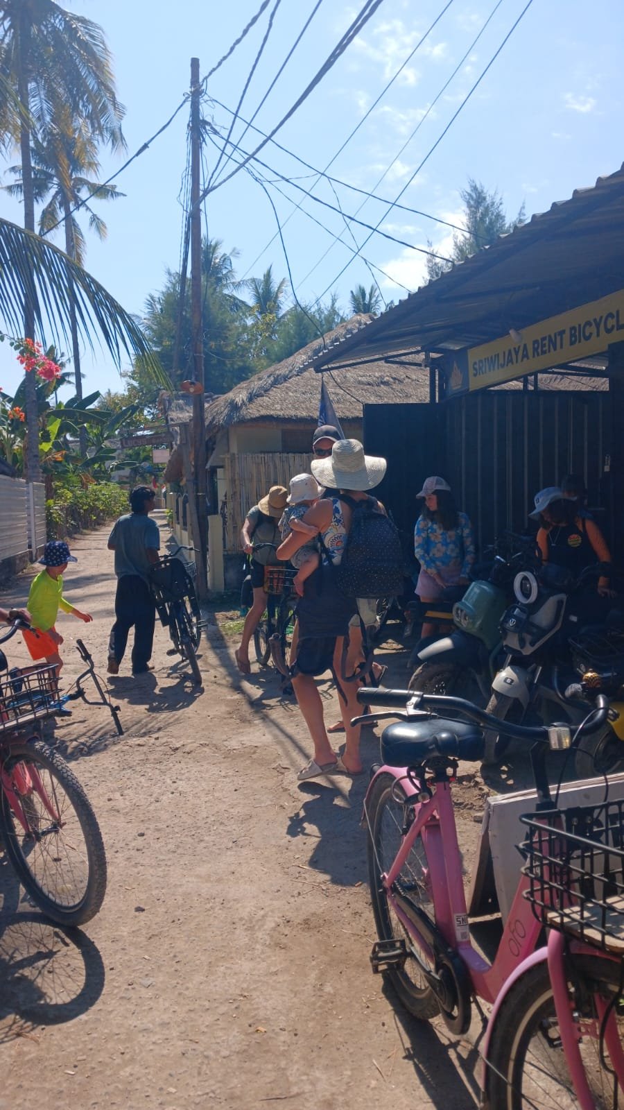 NORMAL BIKE RENTAL
