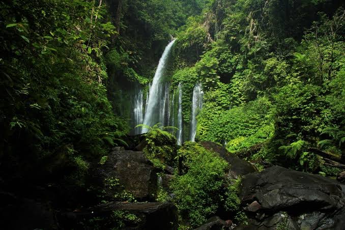 Waterfall Tour